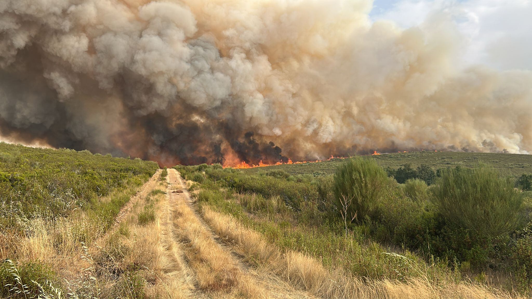 PUERCAS (ZAMORA), 11/08/2025.- Vista del incendio forestal que ha obligado este lunes a desalojar la población de Puercas (Zamora) . EFE/ Subdelegación del Gobierno en Zamora SOLO USO EDITORIAL/SOLO DISPONIBLE PARA ILUSTRAR LA NOTICIA QUE ACOMPAÑA (CRÉDITO OBLIGATORIO)