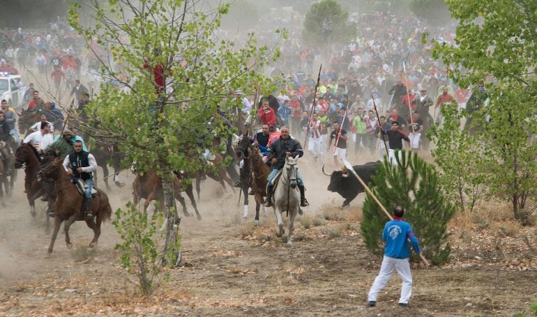 Imagen del torneo del Toro de la Vega de 2015