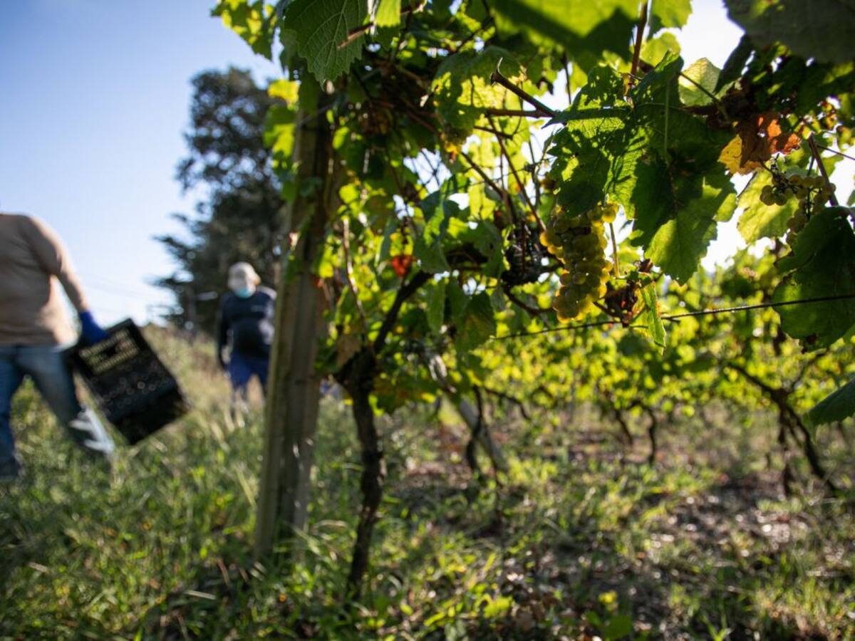 El número de parados sube en 1.109 personas en La Rioja en octubre hasta alcanzar los 18.381