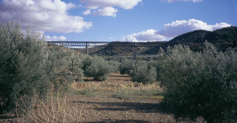 Vía Verde del Aceite entre Jaén, Torredonjimeno y Alcaudete.