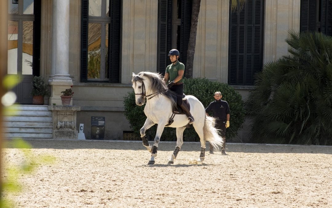 Jinete de la Real Escuela Andaluza del Arte Ecuestre