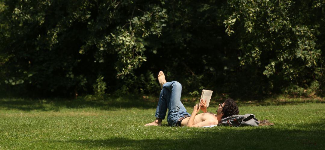 Un joven lee un libro en un parque.