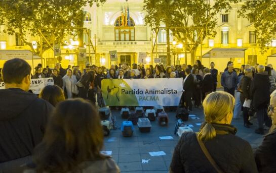 Imagen de la manifestación en la Plaza del Ayuntamiento