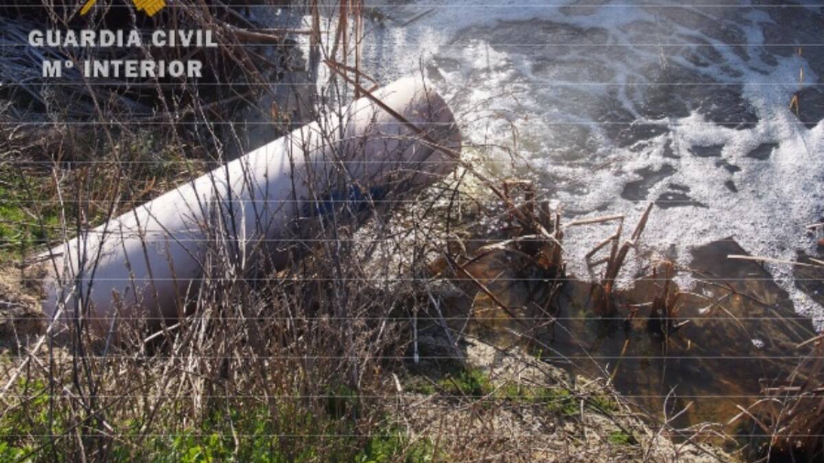 Investigadas cuatro personas como autores de un delito contra los Recursos Naturales y el Medio Ambiente por vertidos peligrosos a un cauce en Olmedo