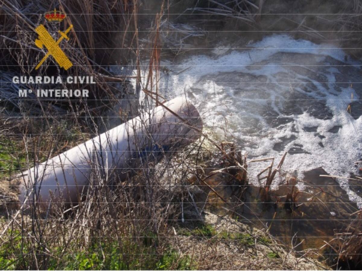 Investigadas cuatro personas como autores de un delito contra los Recursos Naturales y el Medio Ambiente por vertidos peligrosos a un cauce en Olmedo