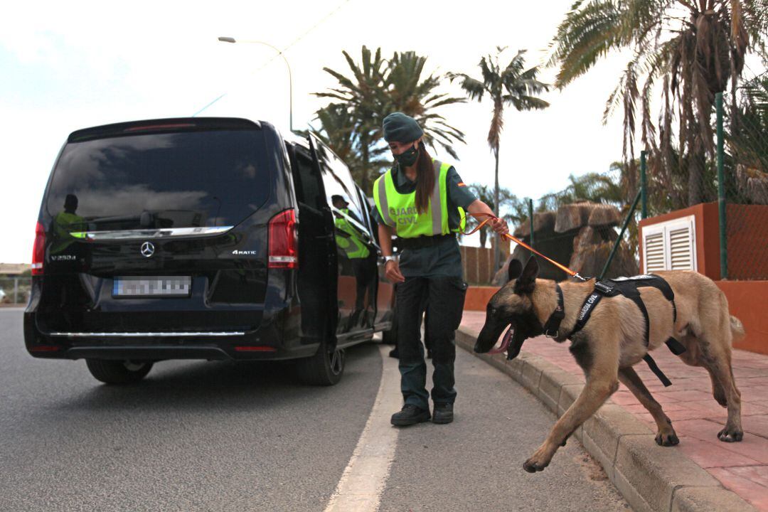 Operativo conjunto del Consell y la Guardia Civil.