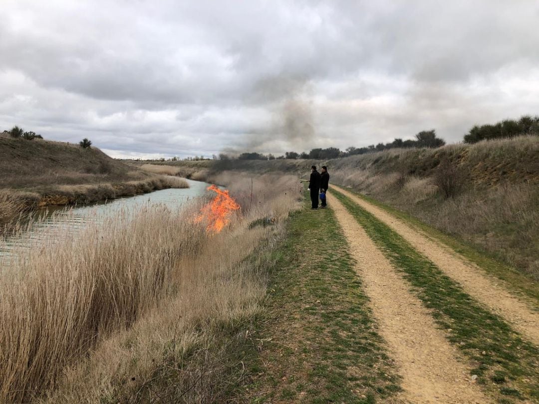 Denuncia de la Asociación de Naturalistas Palentinos por quemas incontroladas en el Canal