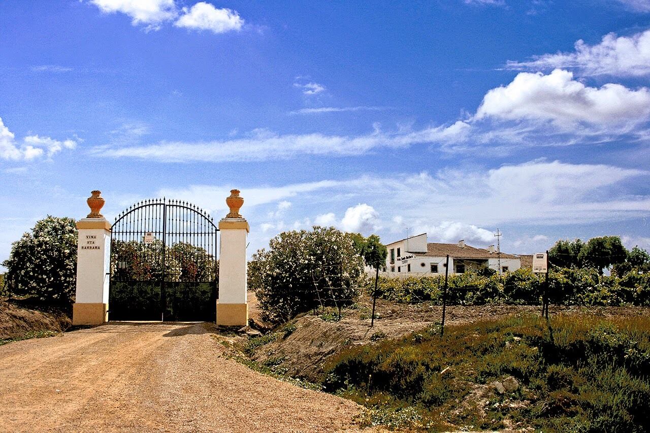 Recorrido por el camino del Rocío jerezano