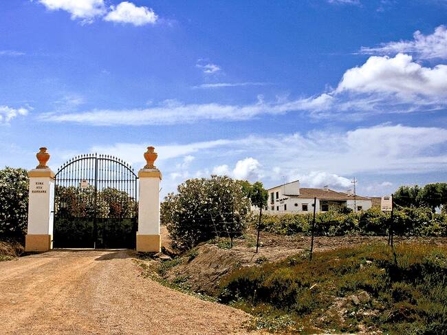 Recorrido por el camino del Rocío jerezano