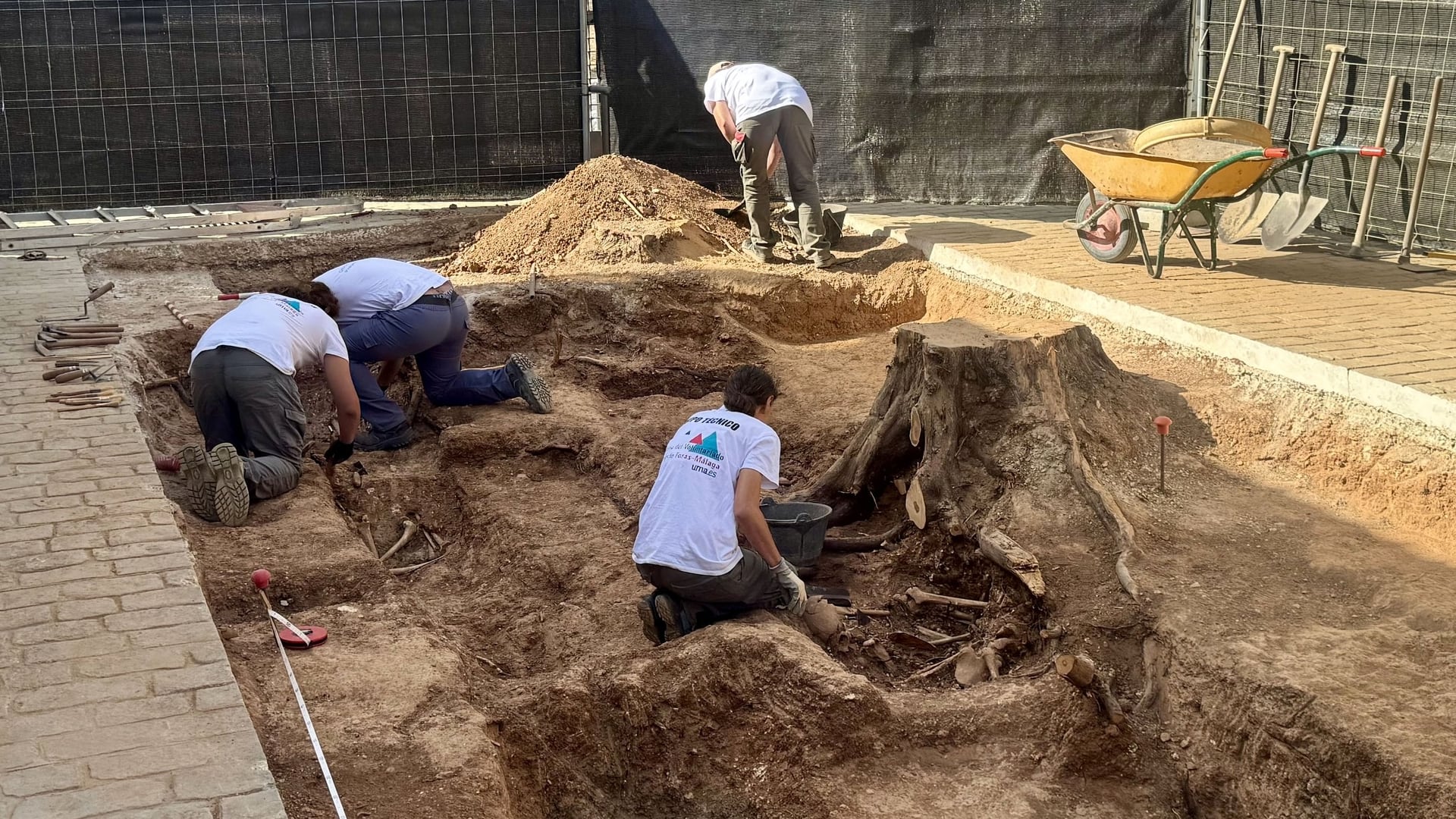 Trabajos de exhumación en una de las fosas comunes halladas en el cementerio de Campillos