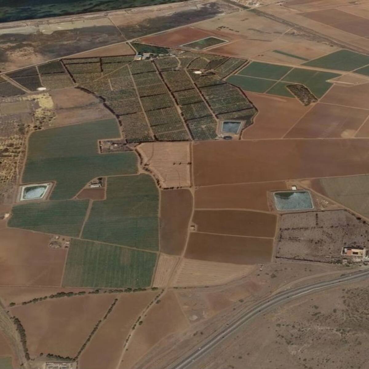 El juicio por el caso Novo Carthago se reanuda mañana con los primeros testigos y la exalcaldesa Pilar Barreiro en el foco