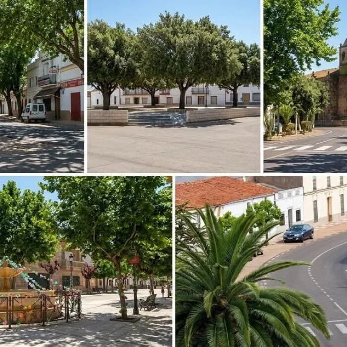 Imágenes generadas por IA de cómo quedaría la localidad de Torremayor con el proyecto de reforestación participativo
