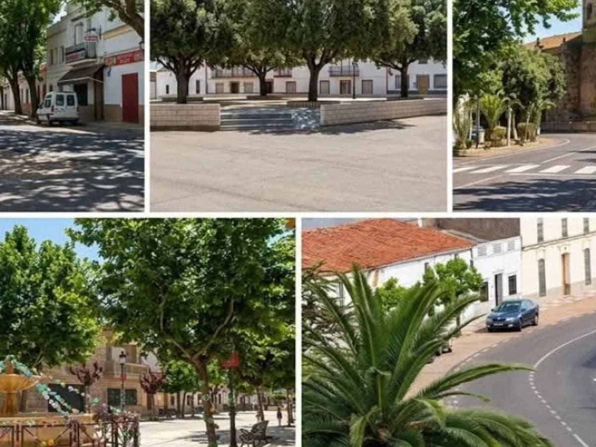 Torremayor busca a través de un proyecto en Ecólatras la reforestación del casco urbano