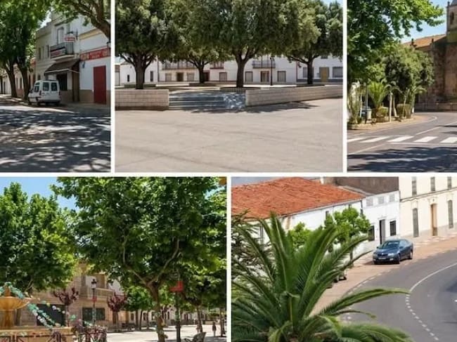 Imágenes generadas por IA de cómo quedaría la localidad de Torremayor con el proyecto de reforestación participativo