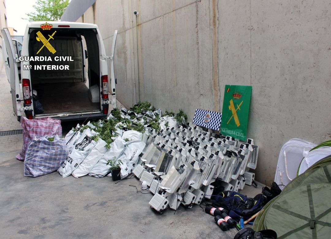 Desmantelan un invernadero con 800 plantas de marihuana en Puerto Lumbreras y detienen a su responsable.