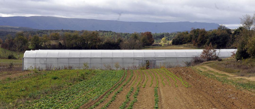 Agricultura Ecológica en La Prada en el Valle de Tobalina (Burgos)