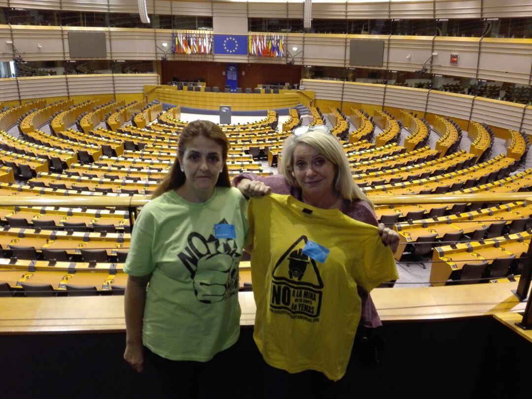 Las representantes de las plataformas fueron invitadas al Parlamento Europeo