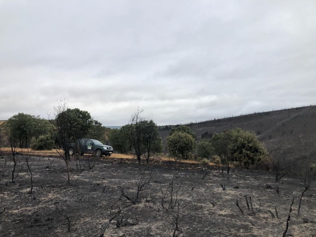 Terrenos quemados en la localidad e Lober