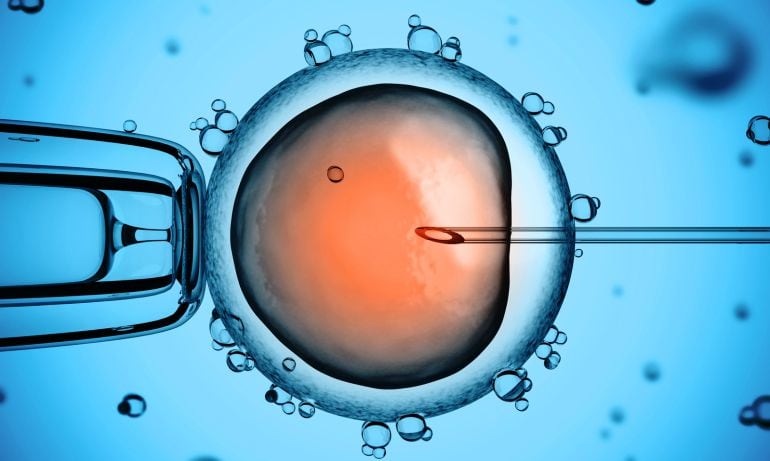 La fecundación in vitro es el futuro para Prelude.