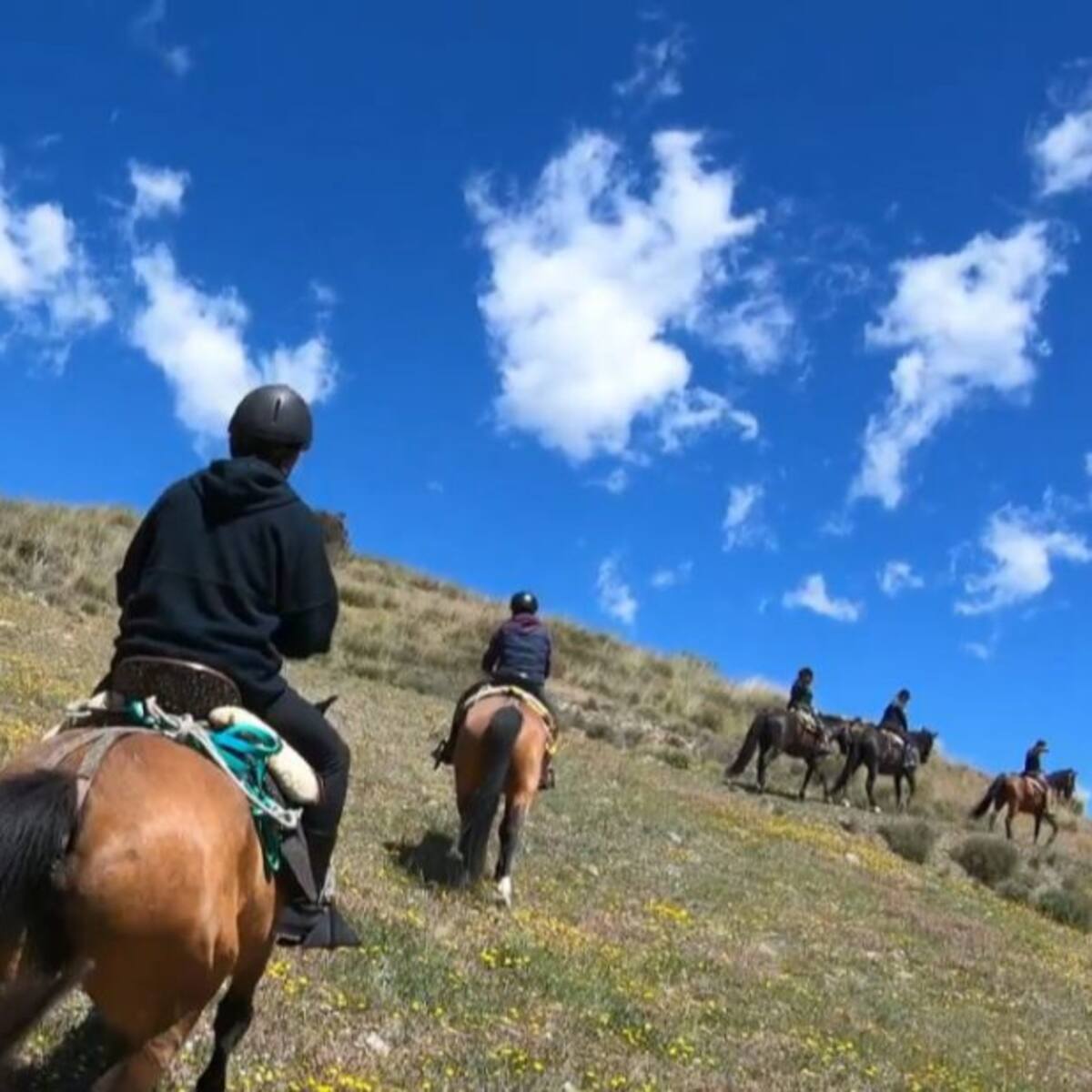 Turismo ecuestre, Ayora en moto, avistando cuervos, gastronomía en Dènia y trámites para viajar a Londres