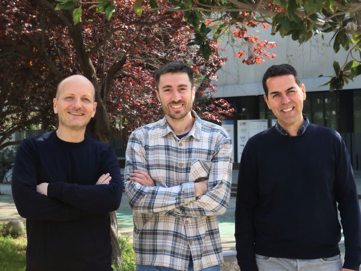 "Es como hacer papiroflexia": crean en Cataluña tejidos vivos capaces de cambiar de forma, programados por humanos