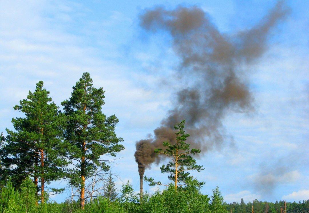 Contaminación