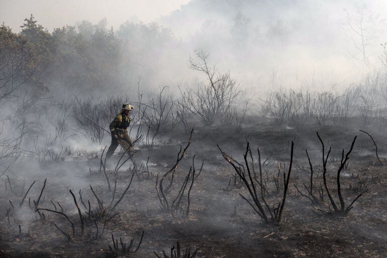 La Fiscalía cifra en un 61% la intencionalidad de los incendios