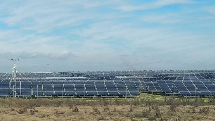 Entrevista Miriam Pérez, coordinadora andaluza de la Plataforma Por la Conservación de las Aves Esteparias y sus Hábitats