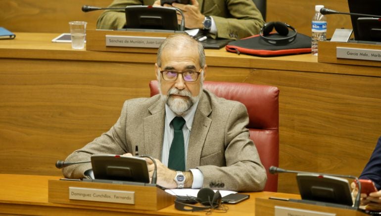 El Consejero de Salud, Fernando Domínguez