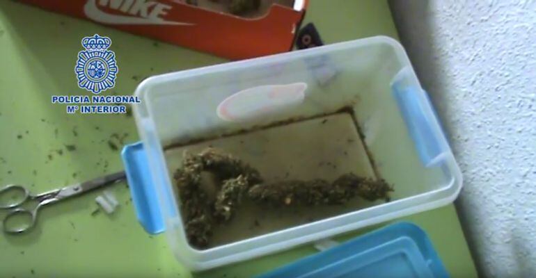 Una muestra del material encontrado en el domicilio del detenido