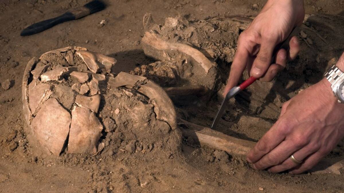 La UBU creará un mapa de fosas de la Guerra Civil