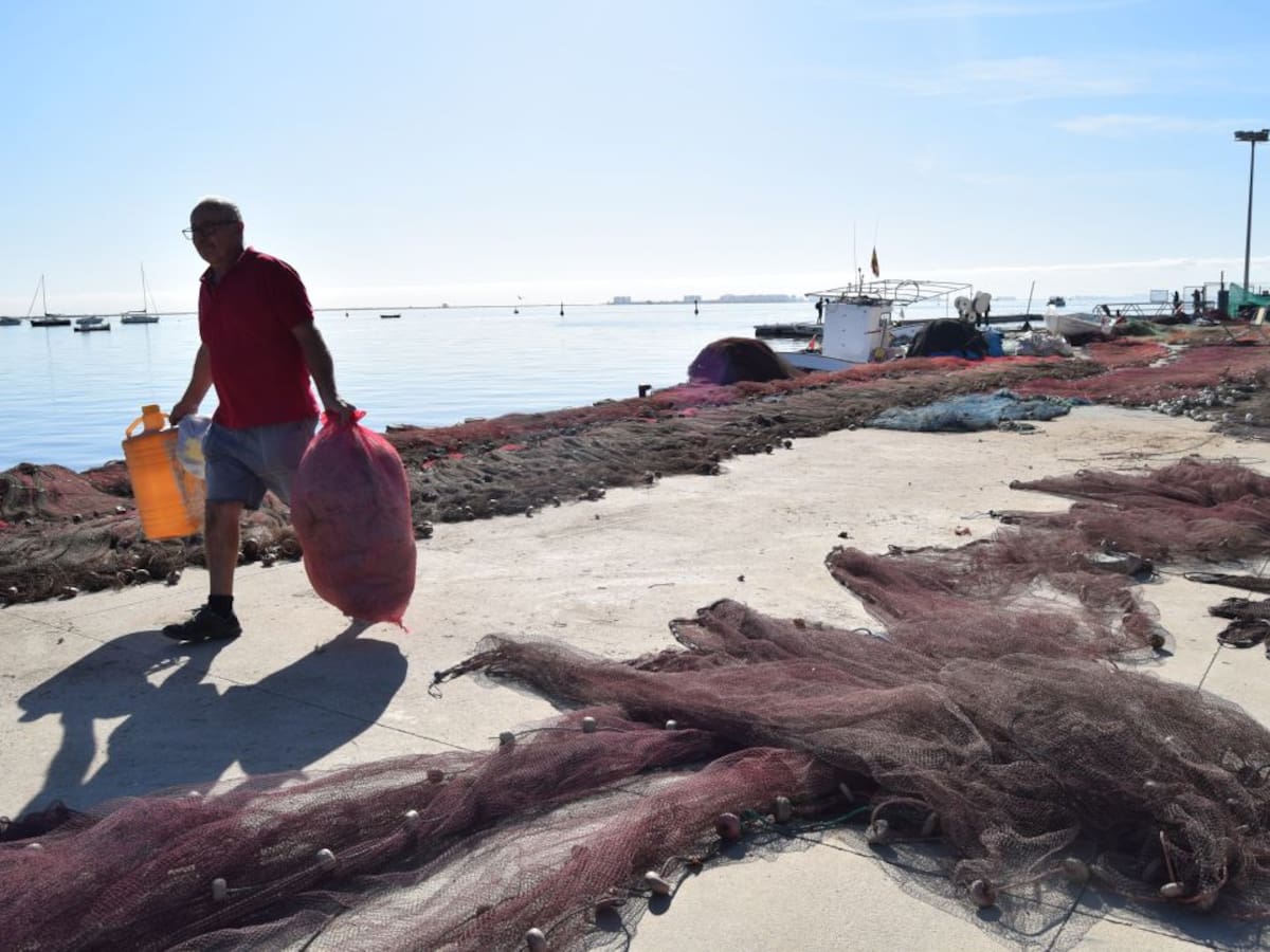 "A ver de qué vivimos ahora"