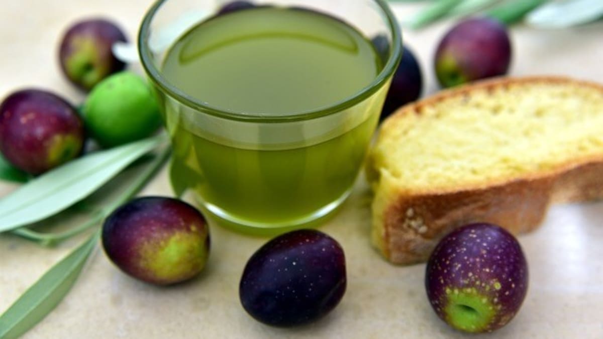 Primera cosecha de aceite con IGP de Menorca. Entrevista con Manuel Martínez