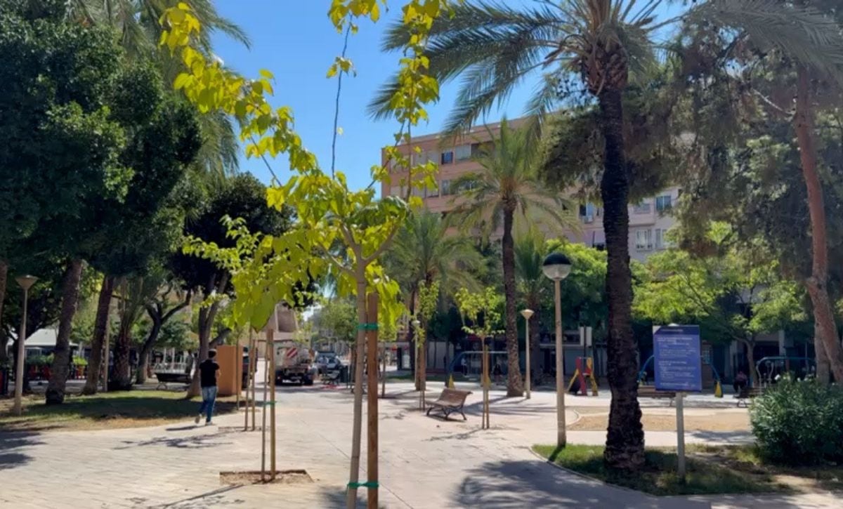 Árboles en Elche