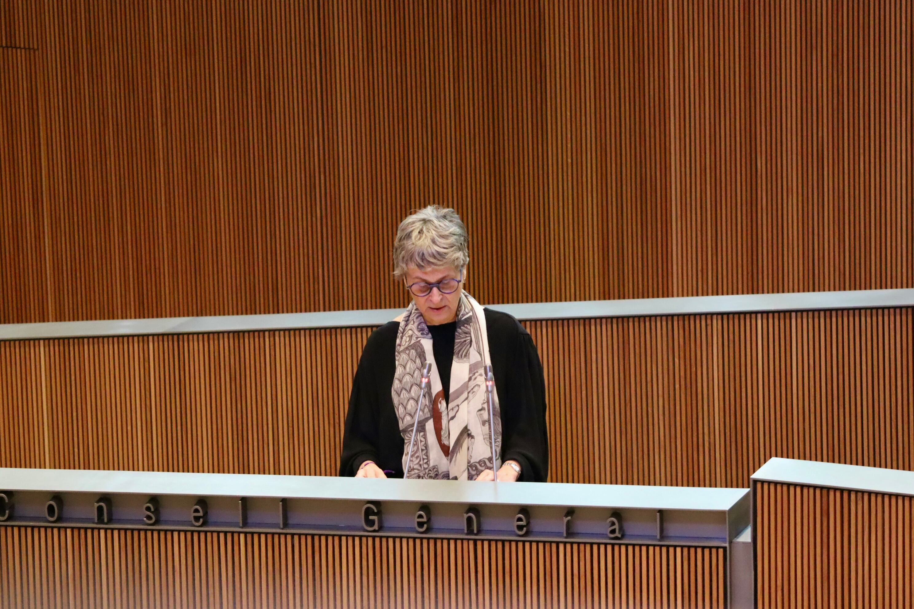 La consellera general del PS, Susanna Vela