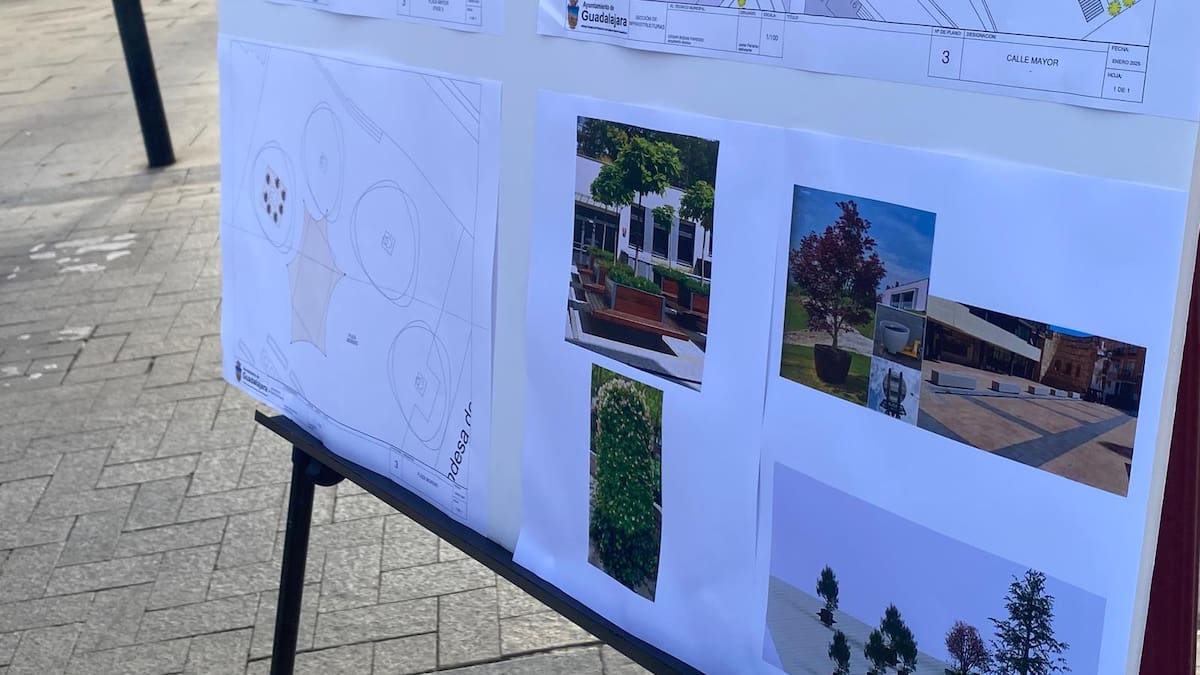 Ana Guarinos quiere plazas "de colores"