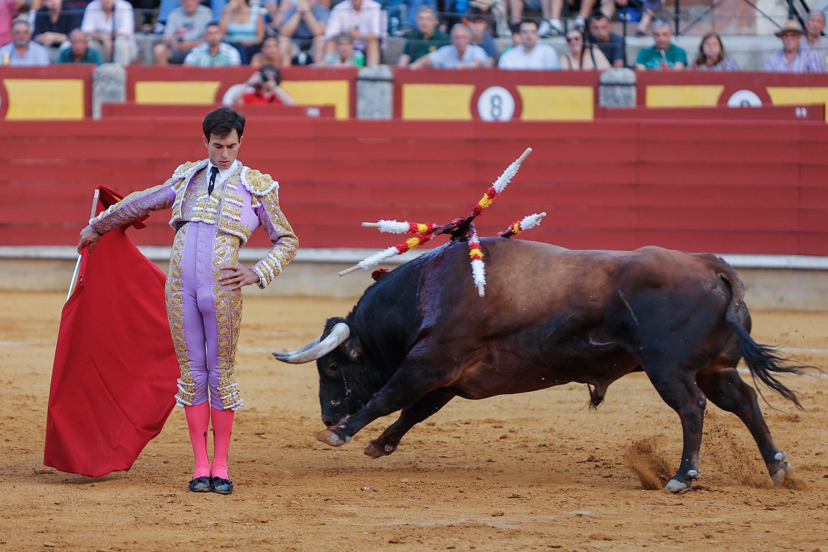 CIUDAD REAL, 21/08/2025.- El diestro Samuel Navalón torea un toro en Ciudad Real. El deslucido juego de los toros de Martín Lorca, aunque bien presentados, lastró el desarrollo artístico de una tarde en la que Carlos Aranda se justificó con pulcritud, Alejandro Peñaranda no tuvo opciones, y Samuel Navalón salió a triunfar por lo civil o por lo criminal, logrando su objetivo. EFE/ Julio César Sánchez
