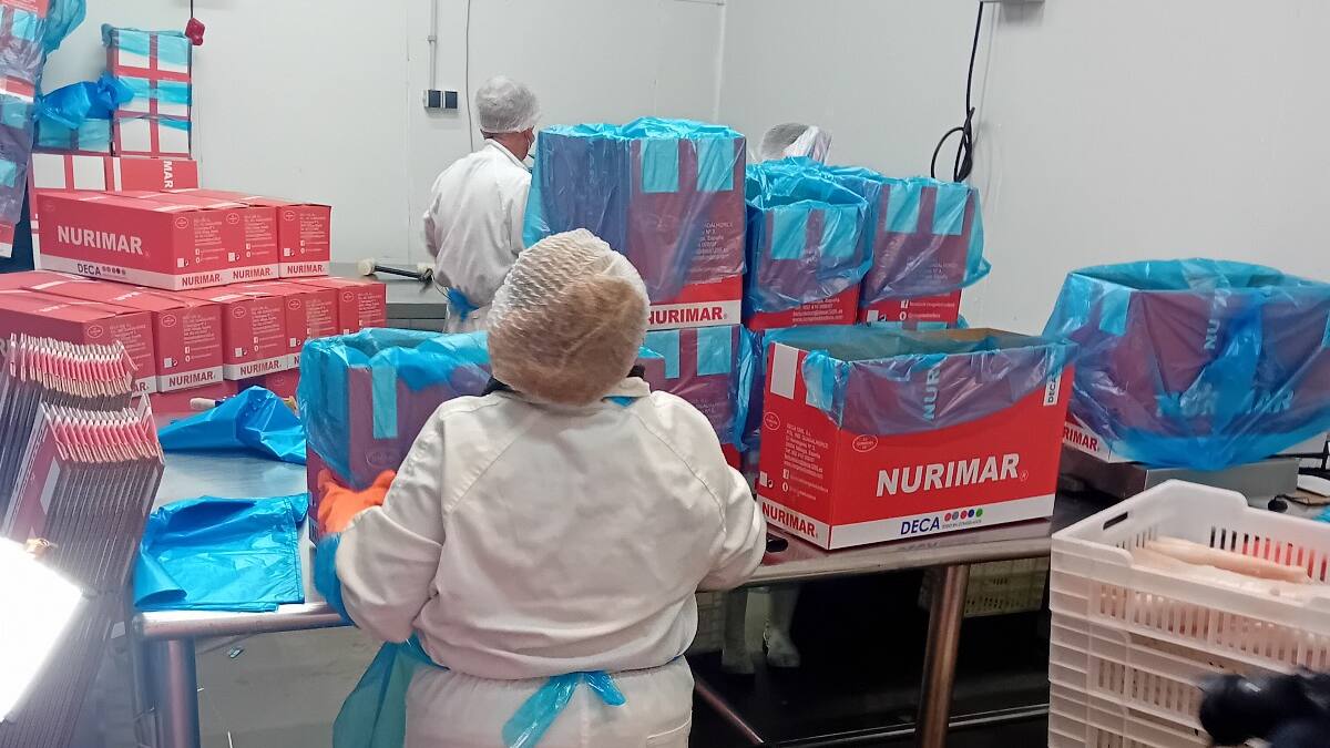 Los alimentos congelados se diversifican para atender una demanda que exige calidad y variedad especialmente en Navidades