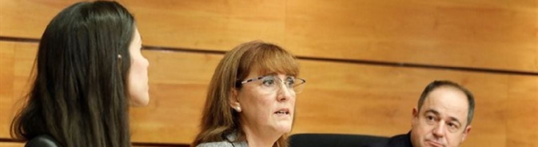 Ana Cabellos durante su comparecencia en Cortes