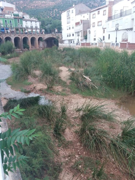 Estado actual del río Guadalimar en el casco urbano