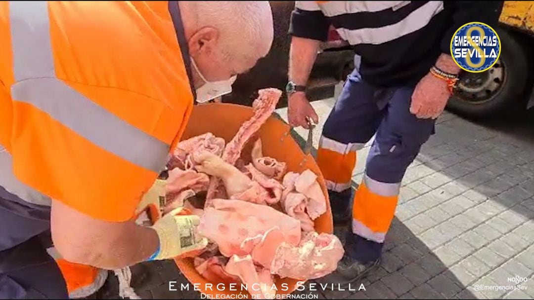 Los técnicos municipales intervienen la carne en mal estado