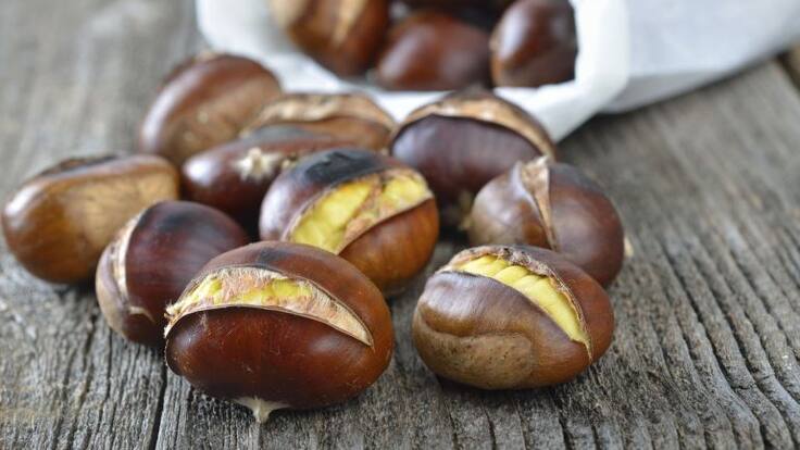 La castaña, nutritiva, sabrosa y no engorda