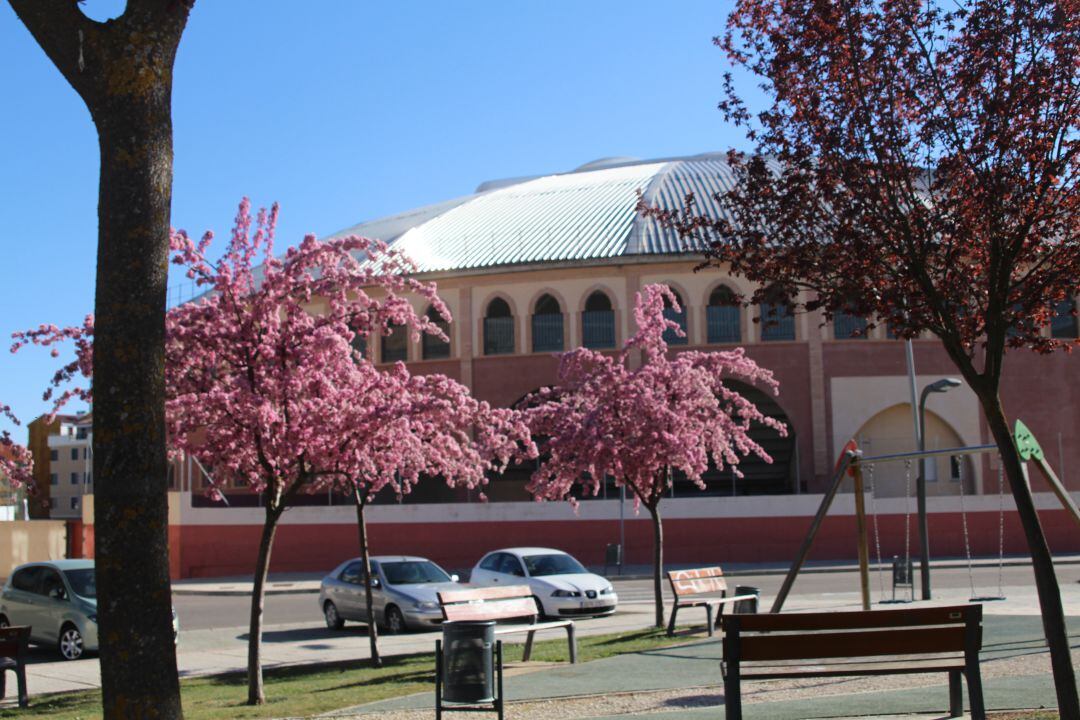Plaza de toros de Aranda