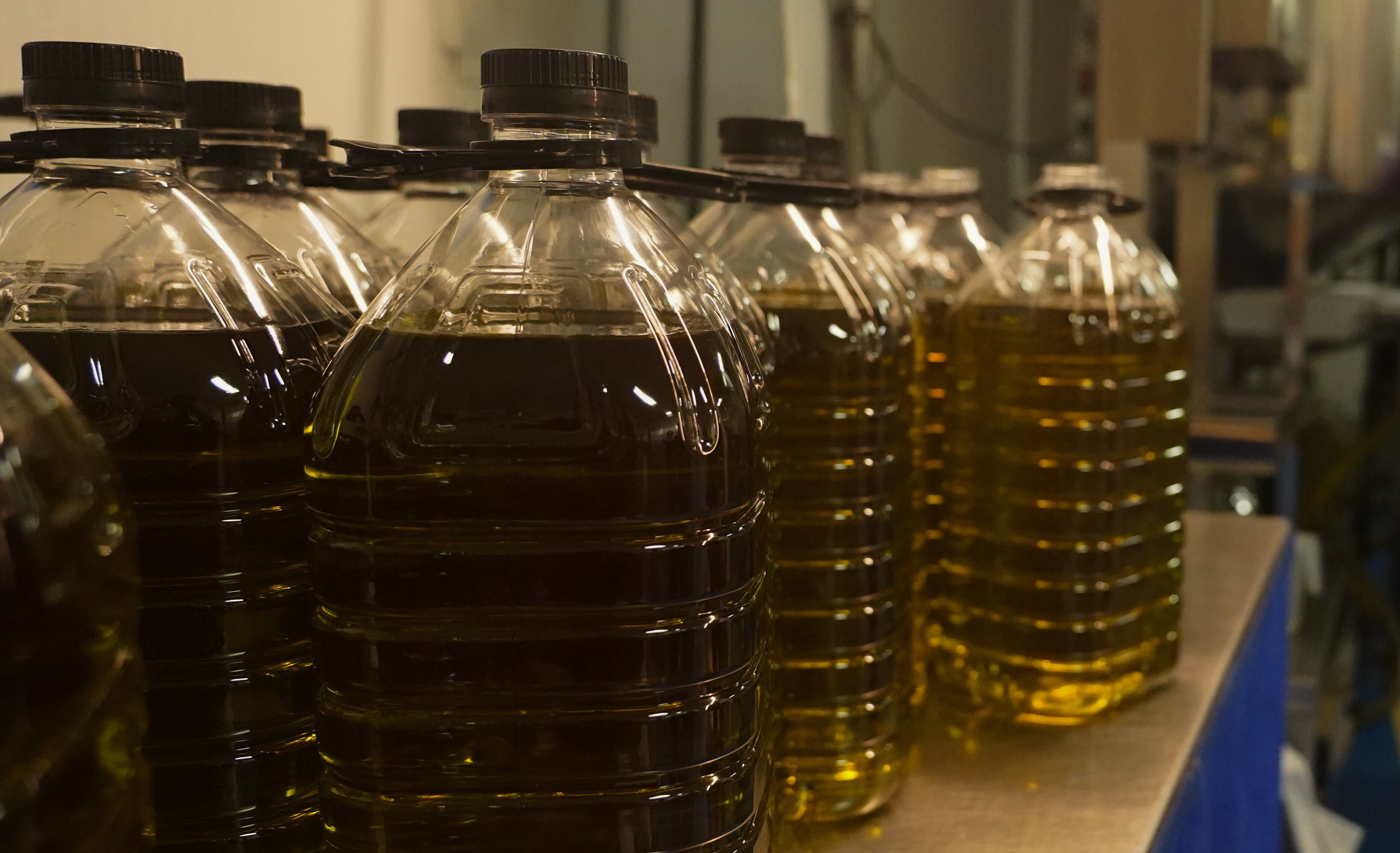 Garrafas de aceite en Jaén. (Foto de Muath Hamed/Anadolu Agency via Getty Images)