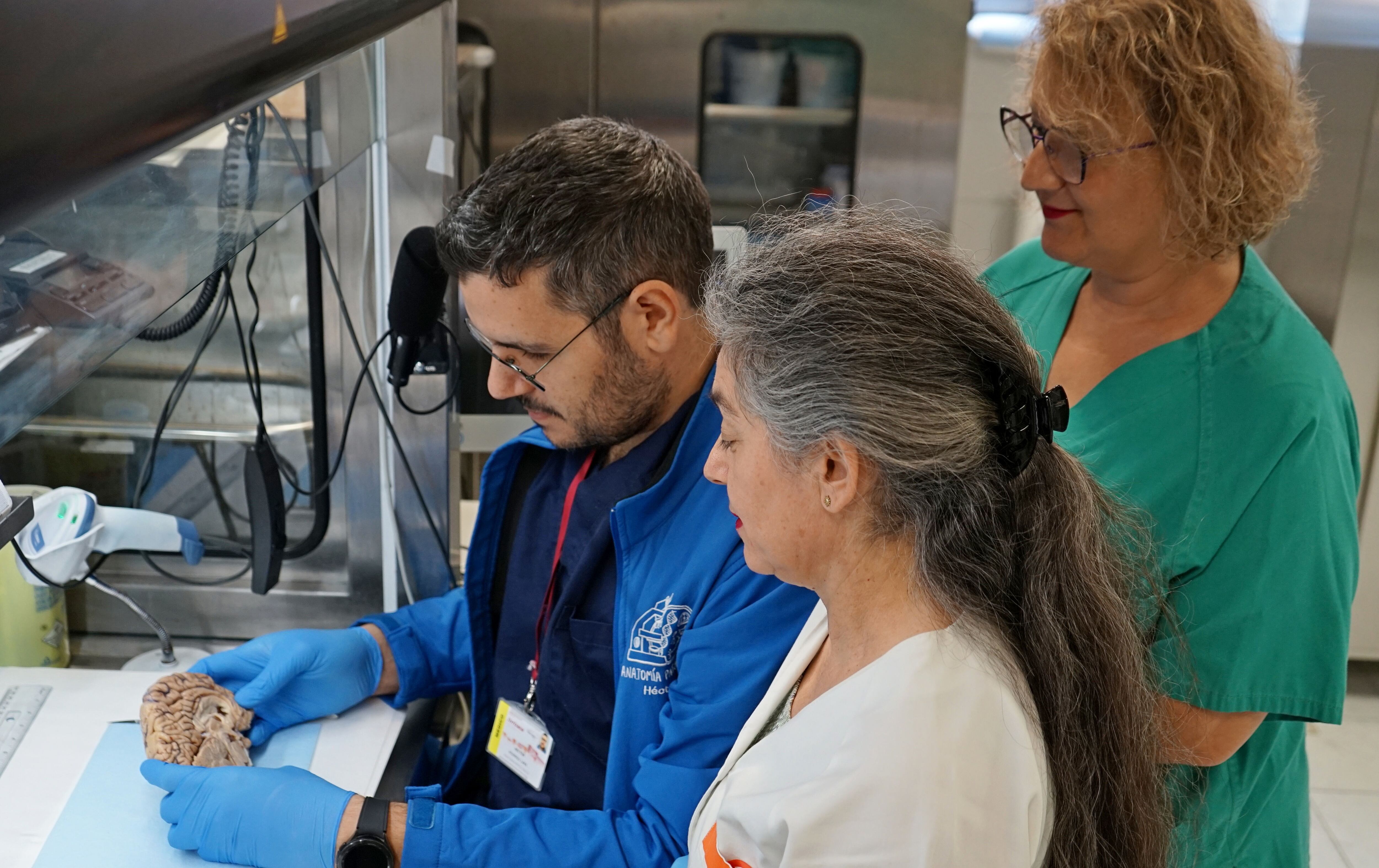 Profesionales del Banco de Cerebros en el laboratorio del hospital Virgen de la Arrixaca