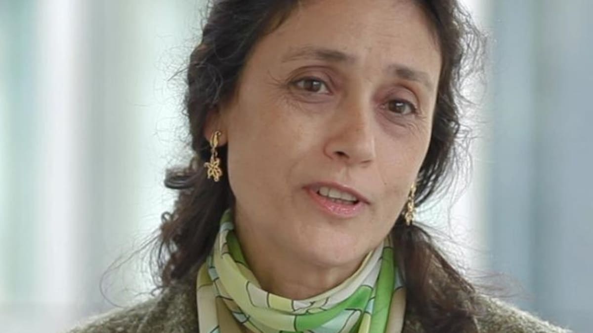 La astrofísica Ana Ulla, pregonera en la gala de Vigueses Distinguidos