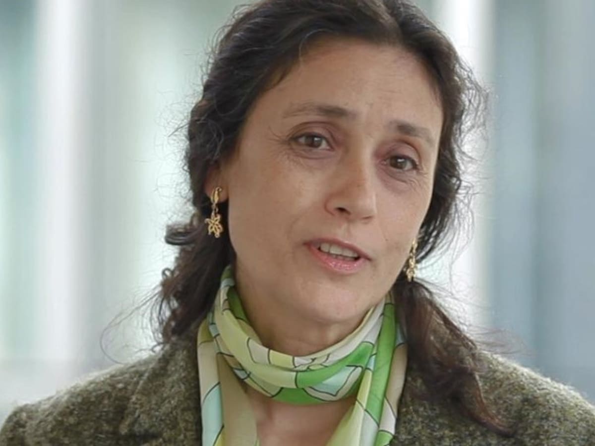 La astrofísica Ana Ulla, pregonera en la gala de Vigueses Distinguidos