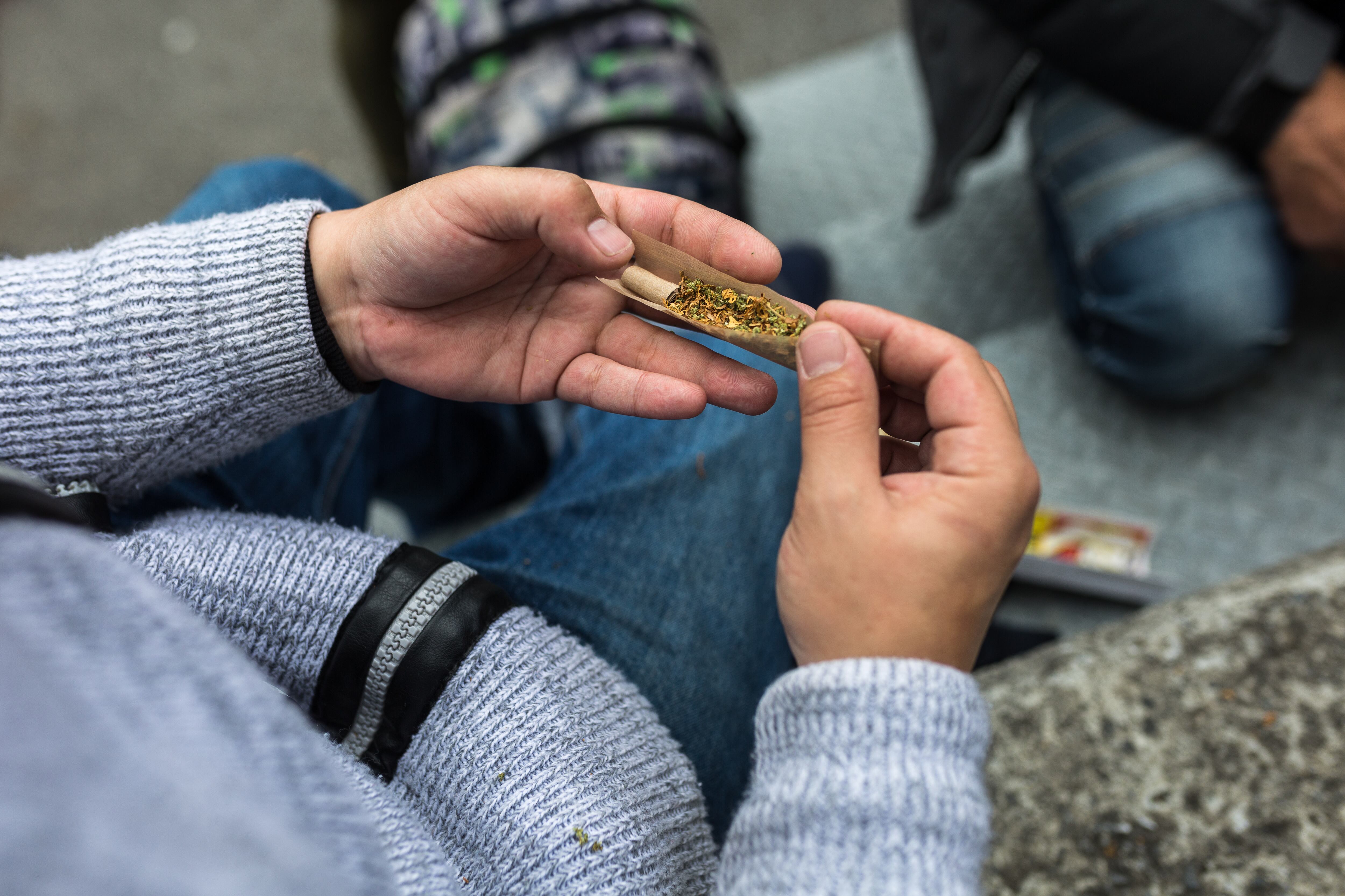 Detail of the hands of a person rolling a joint of marijuana