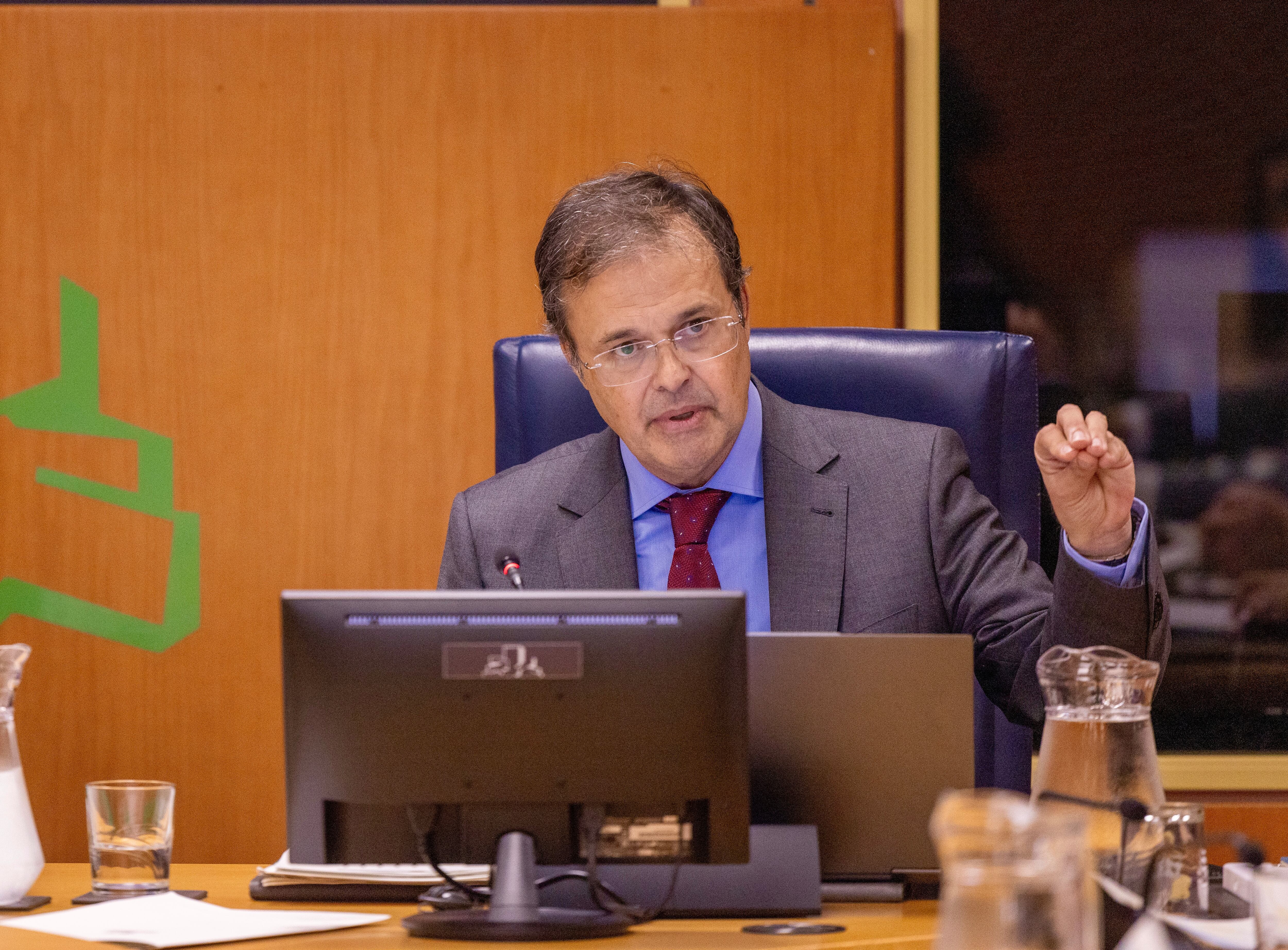 Alberto Martínez, consejero de Salud, interviene en el Parlamento vasco