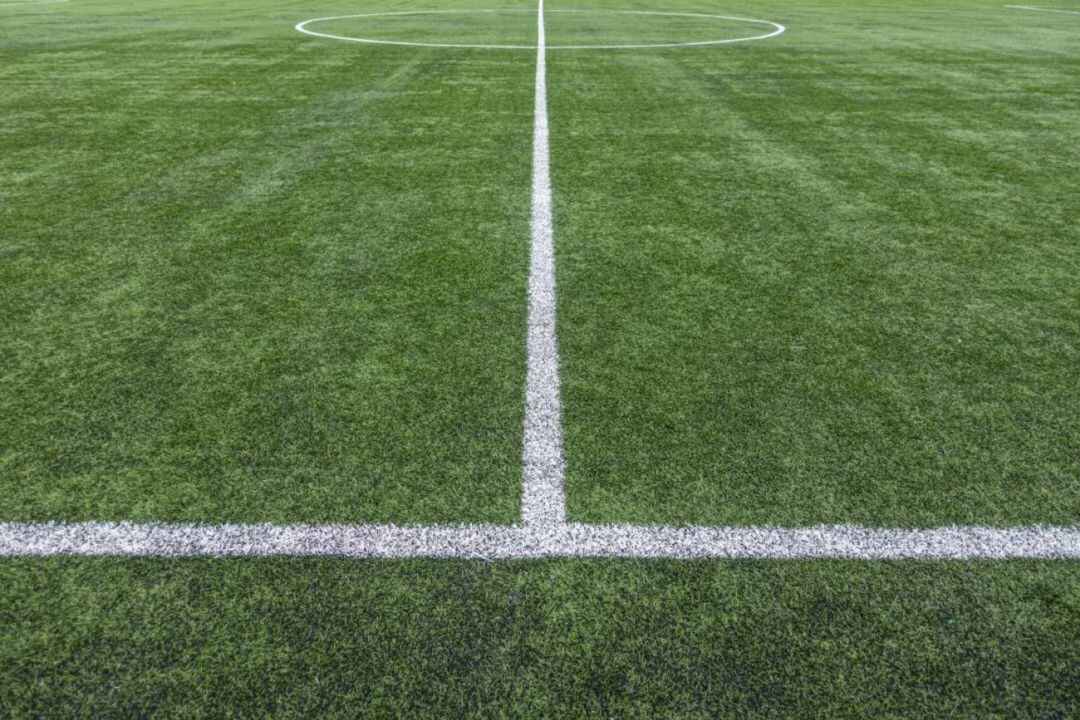 Pasos para renovar el césped en el campo de San Telmo de Palencia